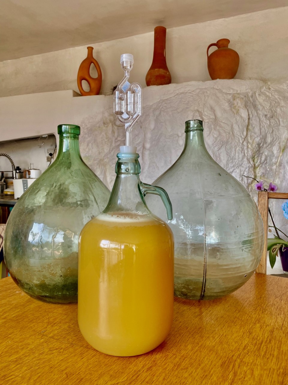 L’élixir des enchanteresses